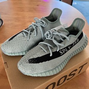 Yeezy 350 v2 Salt